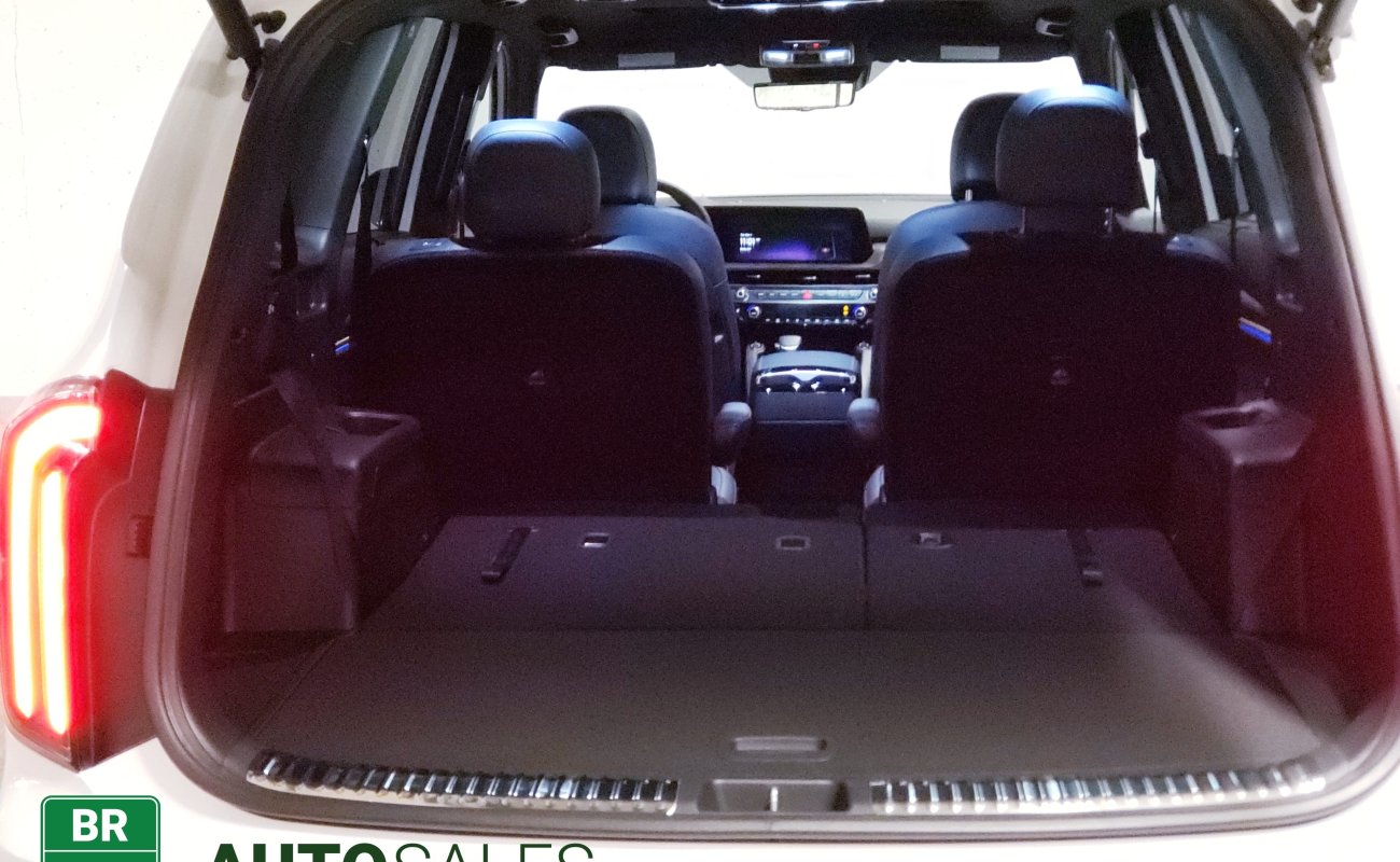 BR101_Kia_Telluride_X_Line_2023_63db063a80249_55065.jpg