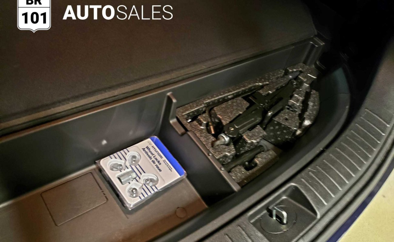 BR101_hyundai_santa_fe_luxury_awd_2019_64debcf450f0e_836590.jpg