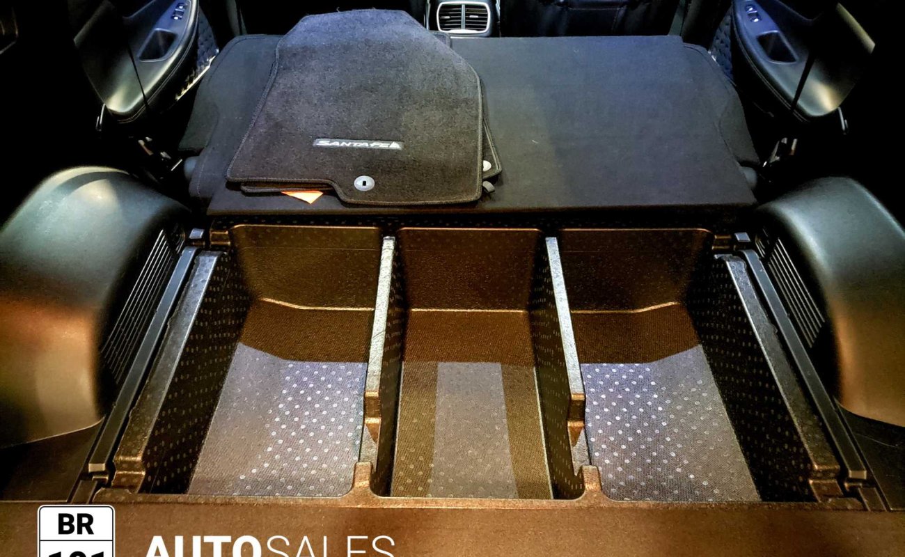 BR101_hyundai_santa_fe_luxury_awd_2019_64debcf450f10_836590.jpg