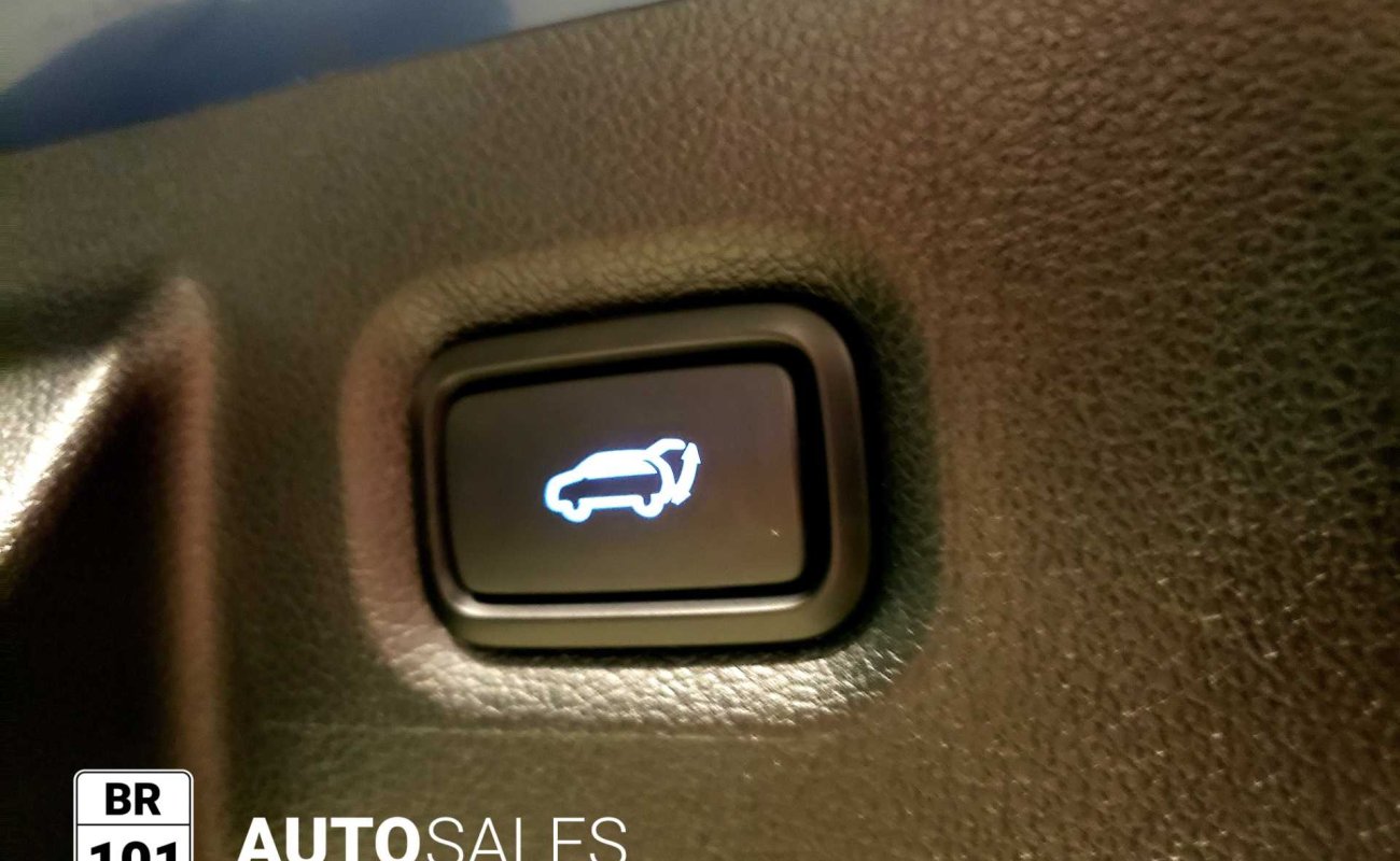 BR101_hyundai_santa_fe_luxury_awd_2019_64debcf450f14_836590.jpg