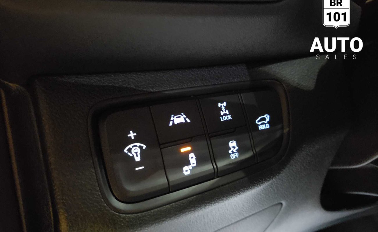 BR101_hyundai_santa_fe_luxury_awd_2019_64debcf450f2a_836590.jpg