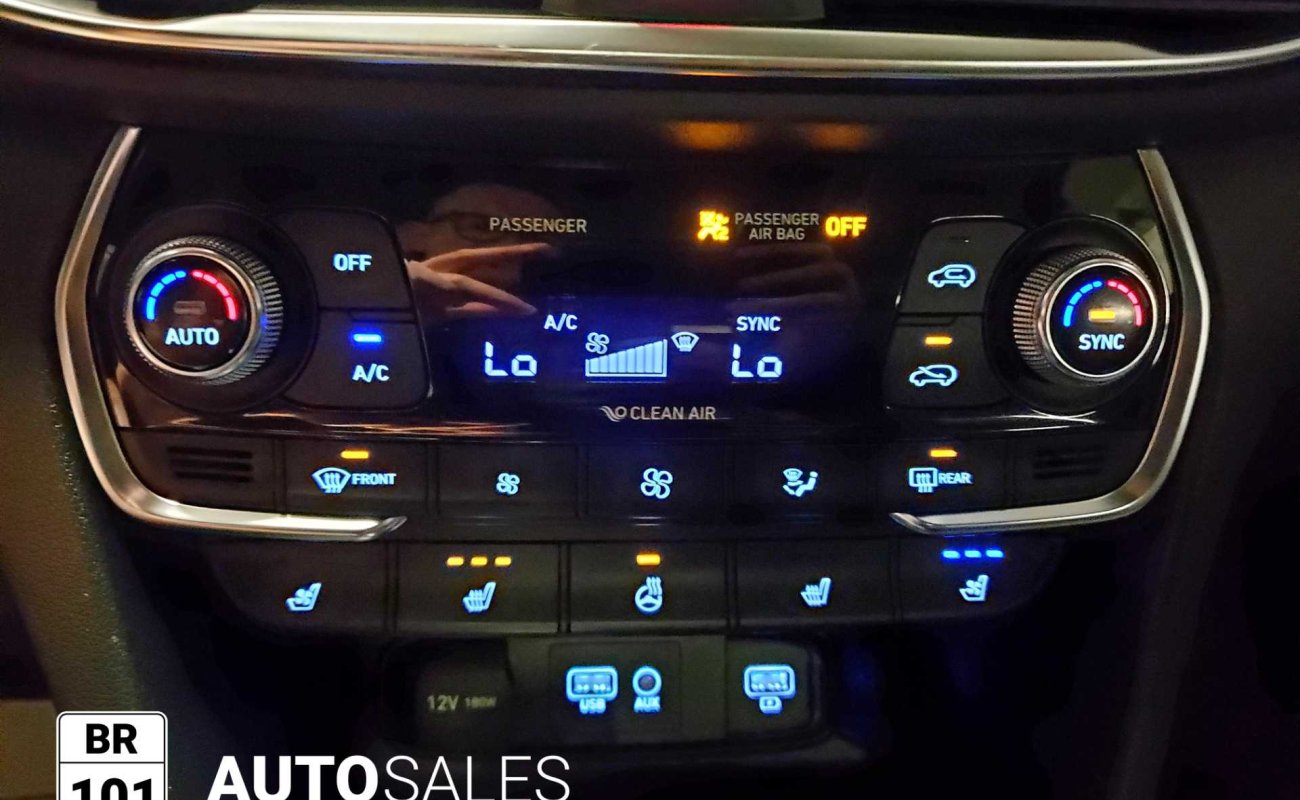 BR101_hyundai_santa_fe_luxury_awd_2019_64debcf450f33_836590.jpg