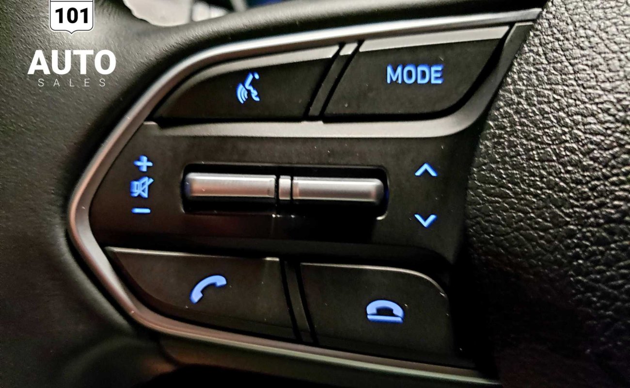 BR101_hyundai_santa_fe_luxury_awd_2019_64debcf450f42_836590.jpg
