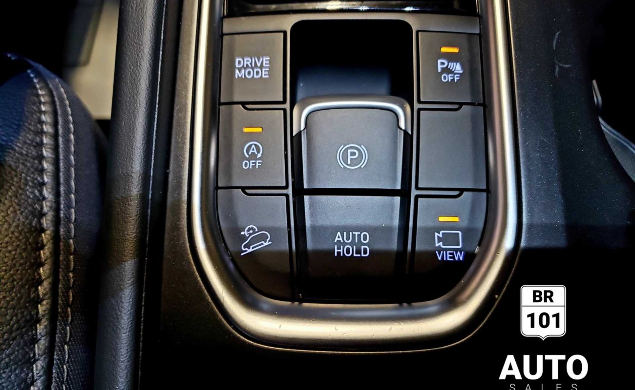 BR101_hyundai_santa_fe_luxury_awd_2019_64debcf450f46_836590.jpg