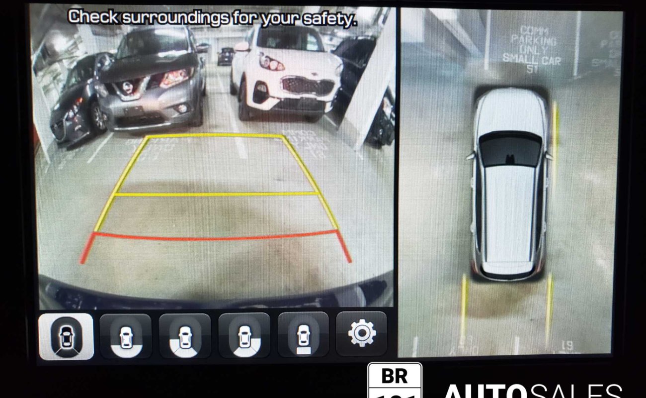 BR101_hyundai_santa_fe_luxury_awd_2019_64debcf450f49_836590.jpg