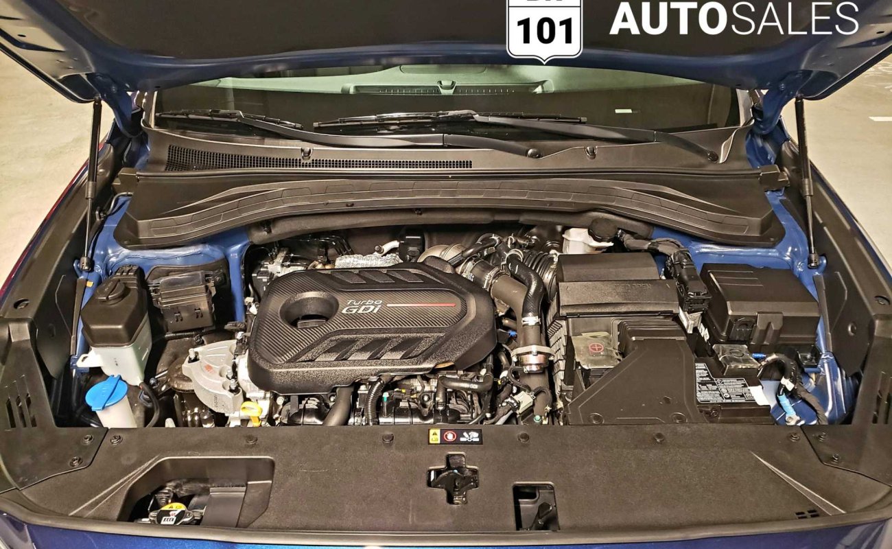 BR101_hyundai_santa_fe_luxury_awd_2019_64debcf450f50_836590.jpg