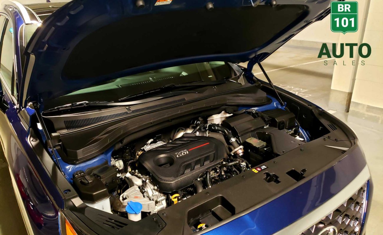 BR101_hyundai_santa_fe_luxury_awd_2019_64debcf450f53_836590.jpg