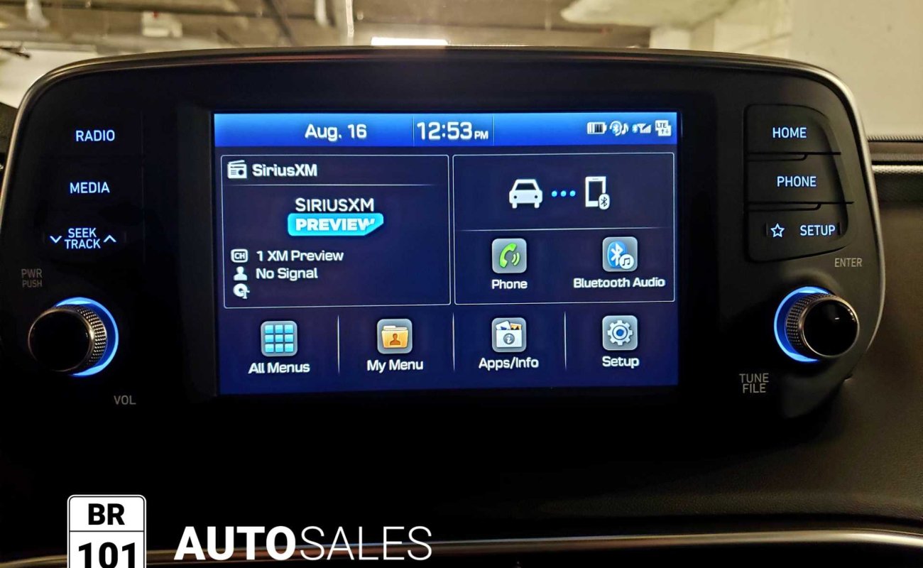 BR101_hyundai_santa_fe_luxury_awd_2019_64debcf450f65_836590.jpg