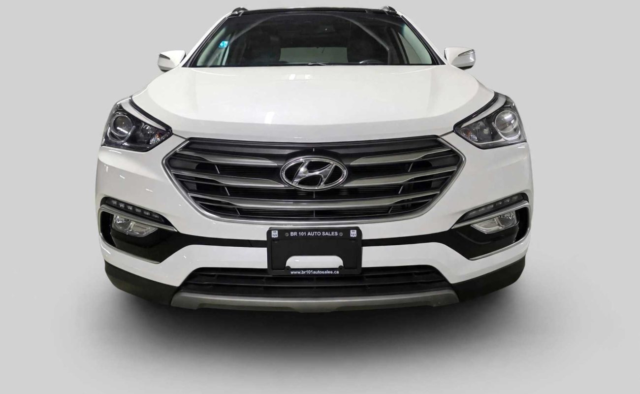 BR101_hyundai_santa_fe_sport_luxury_2018_6ad3ae4ee8b31_67098.jpg