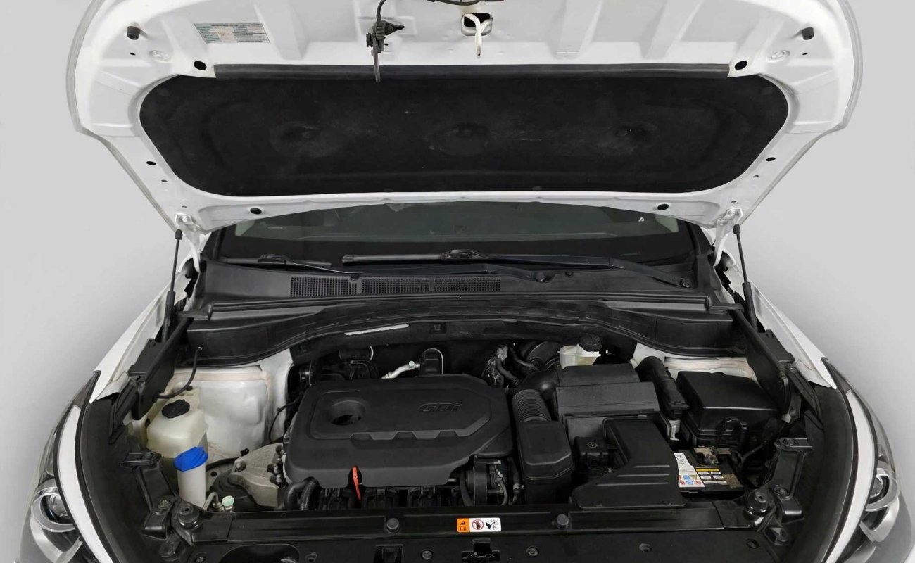 BR101_hyundai_santa_fe_sport_luxury_2018_6ad3ae4ee8b80_67098.jpg