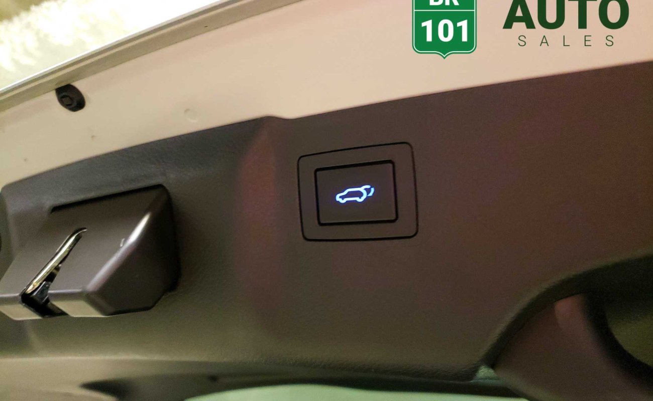 BR101_hyundai_santa_fe_xl_limited_2018_647ea4175c115_800888.jpg