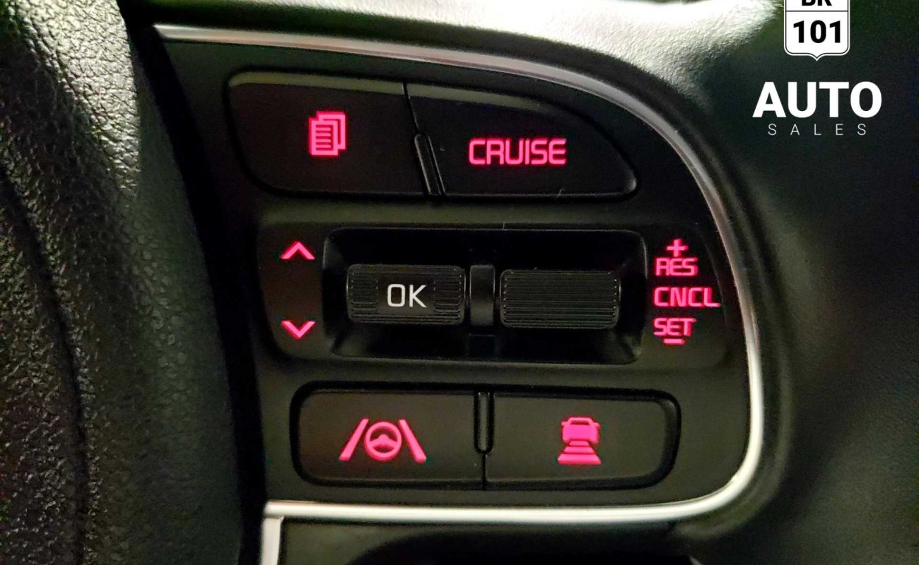 BR101_kia_niro_phev_ex_premium_2021_65247951c2804_821904.jpg