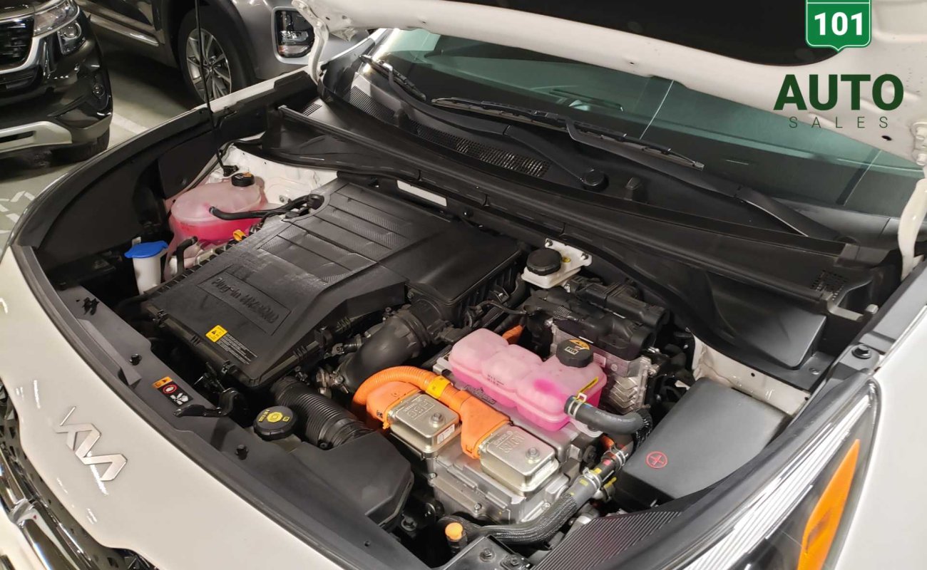 BR101_kia_niro_phev_ex_premium_2021_65247951c280a_821904.jpg