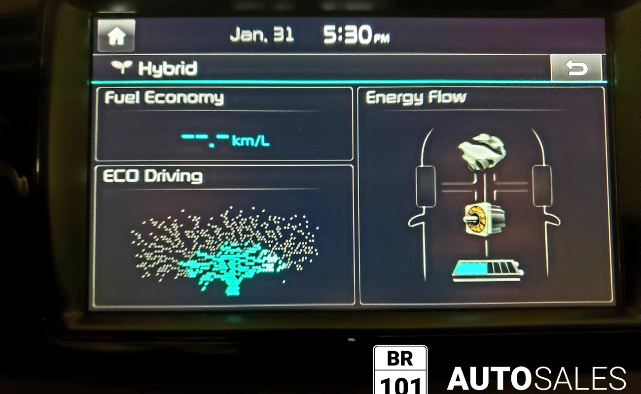 BR101_kia_niro_sx_2018_647eaff487e25_410154.jpg