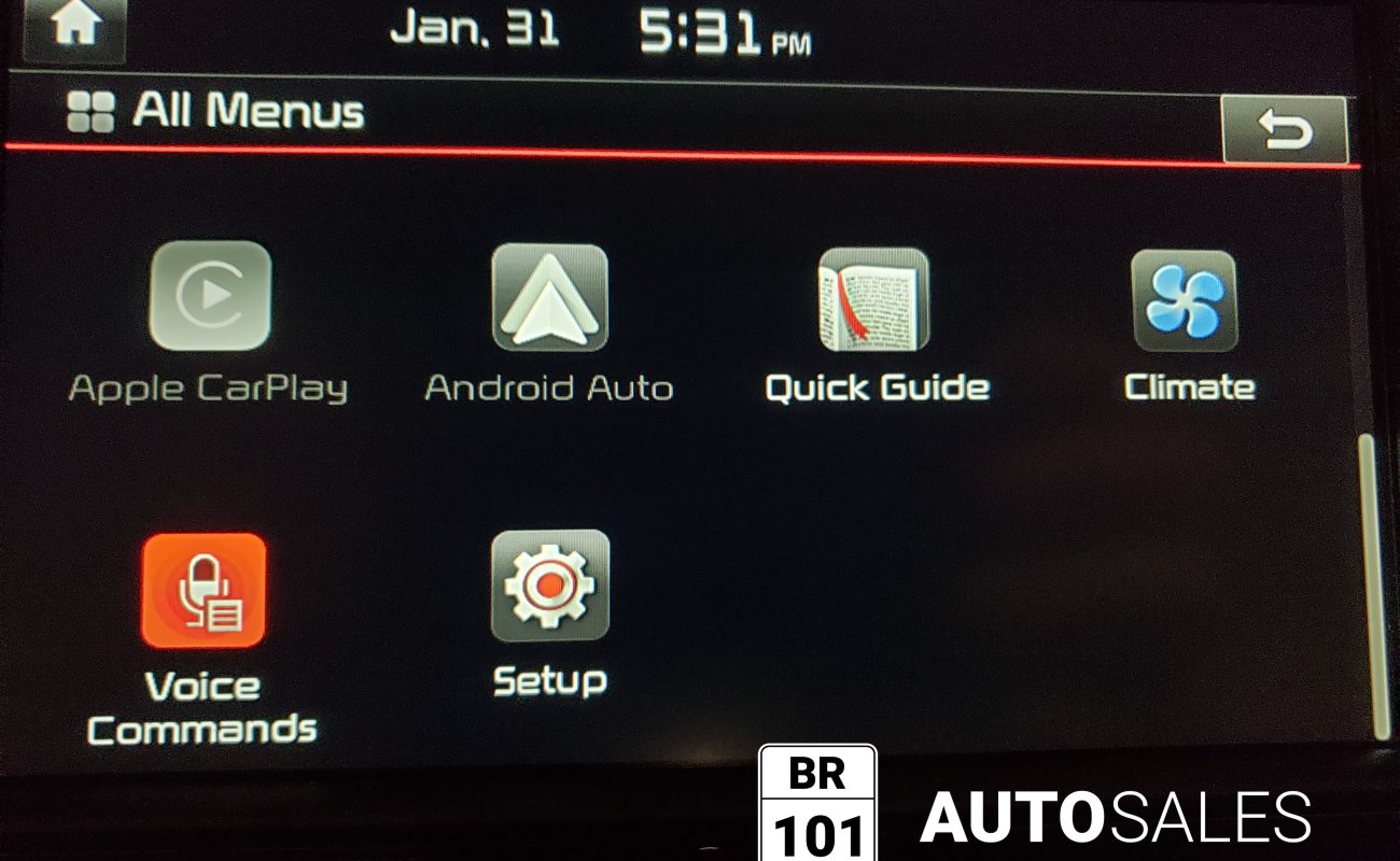 BR101_kia_niro_sx_2018_647eaff487e29_410154.jpg