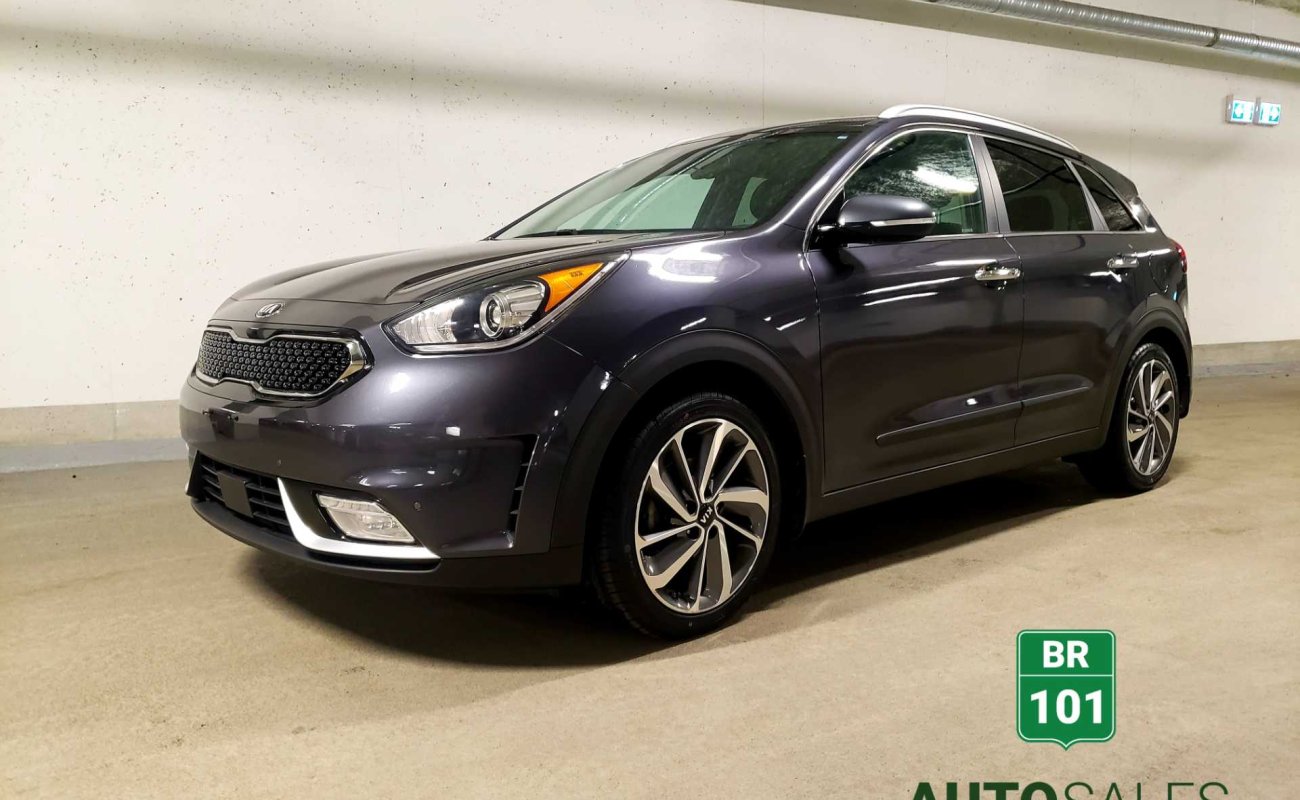 BR101_kia_niro_sx_2018_647eb3a7e25f7_410154.jpg