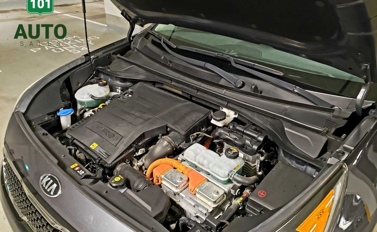 BR101_kia_niro_sx_2018_647eb4be61550_410154.jpg