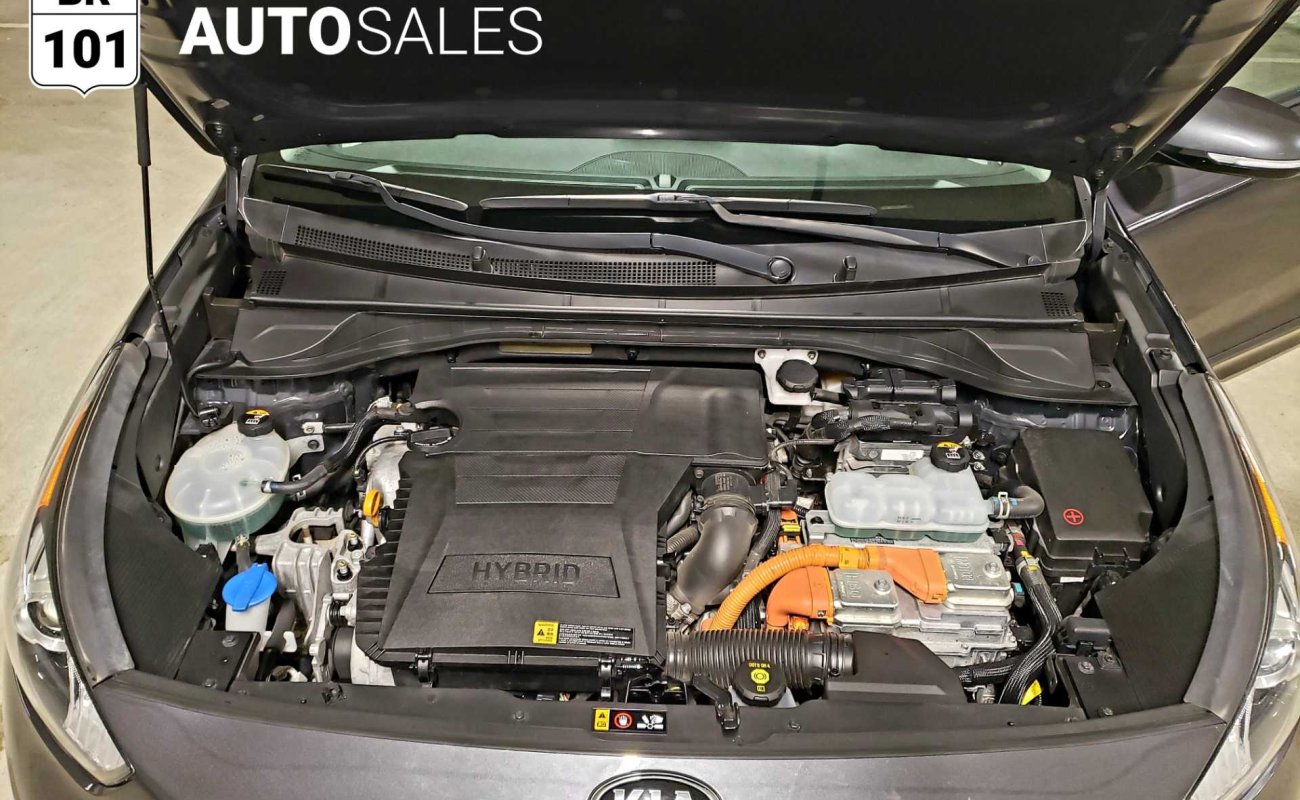 BR101_kia_niro_sx_2018_647eb4be61552_410154.jpg