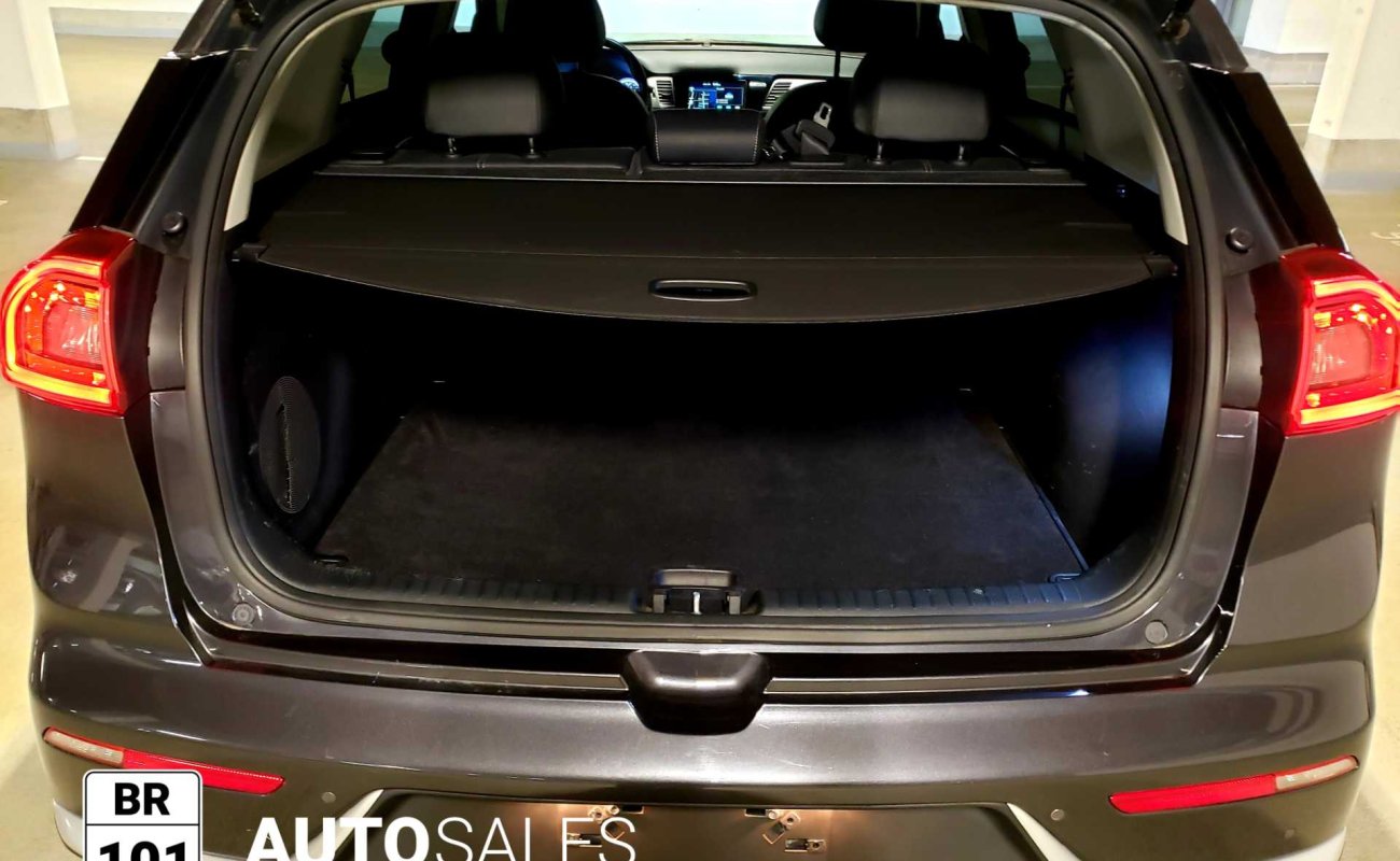 BR101_kia_niro_sx_2018_647eb4be6155a_410154.jpg