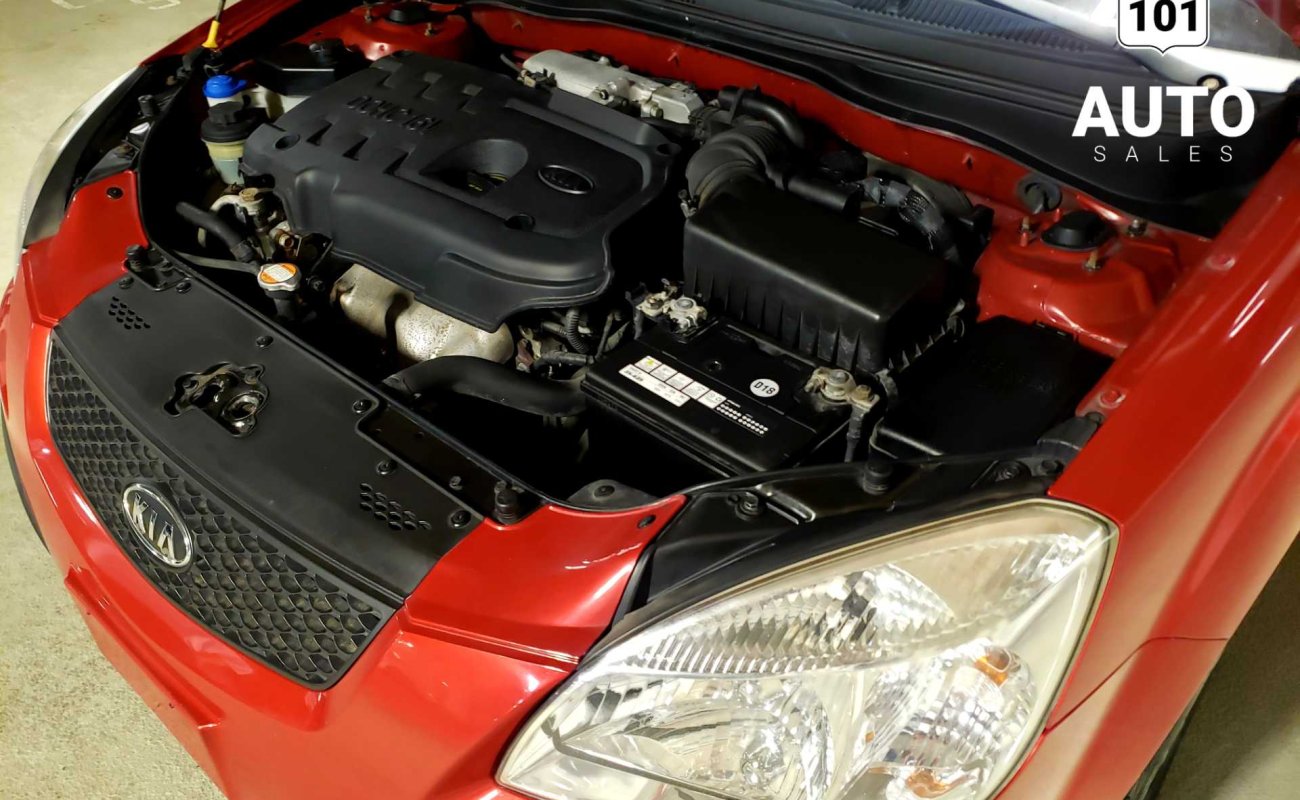 BR101_kia_rio_5_sx_2008_648a4e878c357_119679.jpg
