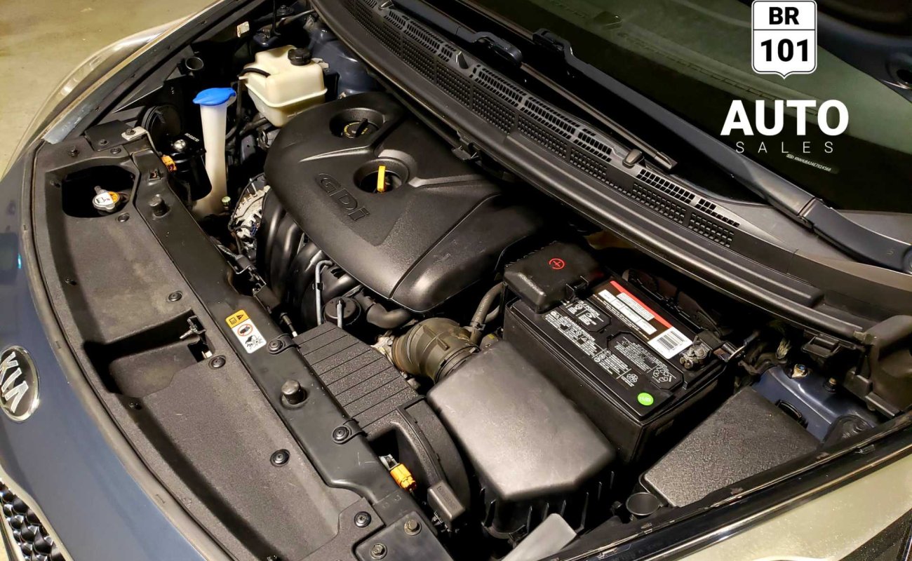 BR101_kia_rondo_ex_l_7_seats_2014_65cc02d727876_6577.jpg