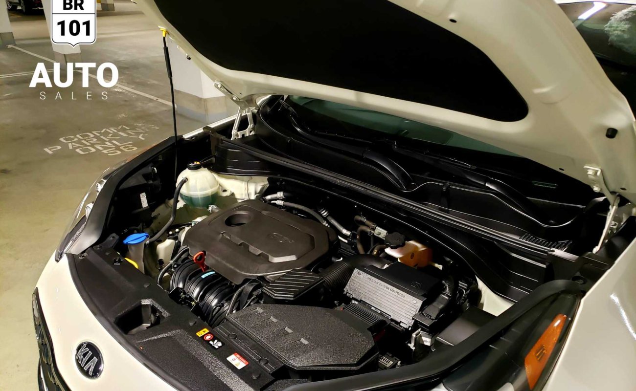 BR101_kia_sportage_lx_awd_2019_64e3f2f73e128_348279.jpg